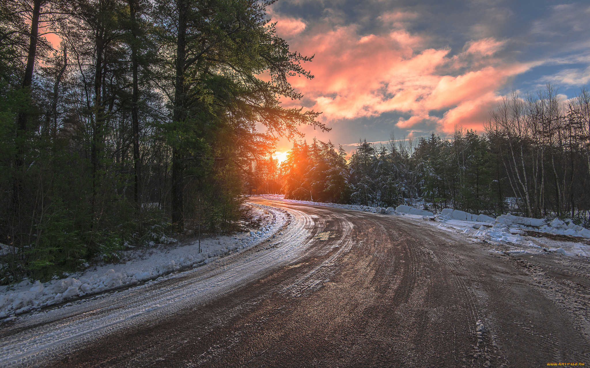 , , , nature, , trees, snow, , , winter, road